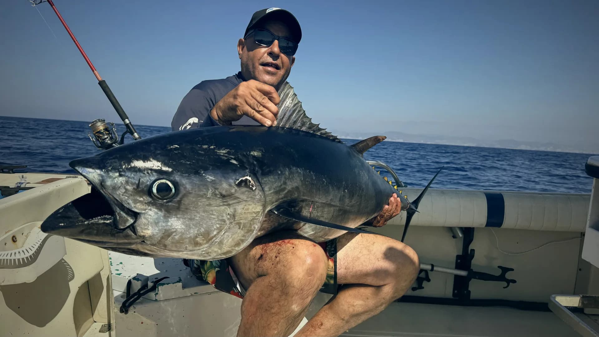 Atlantic Bluefin Tuna in the Strait of Gibraltar