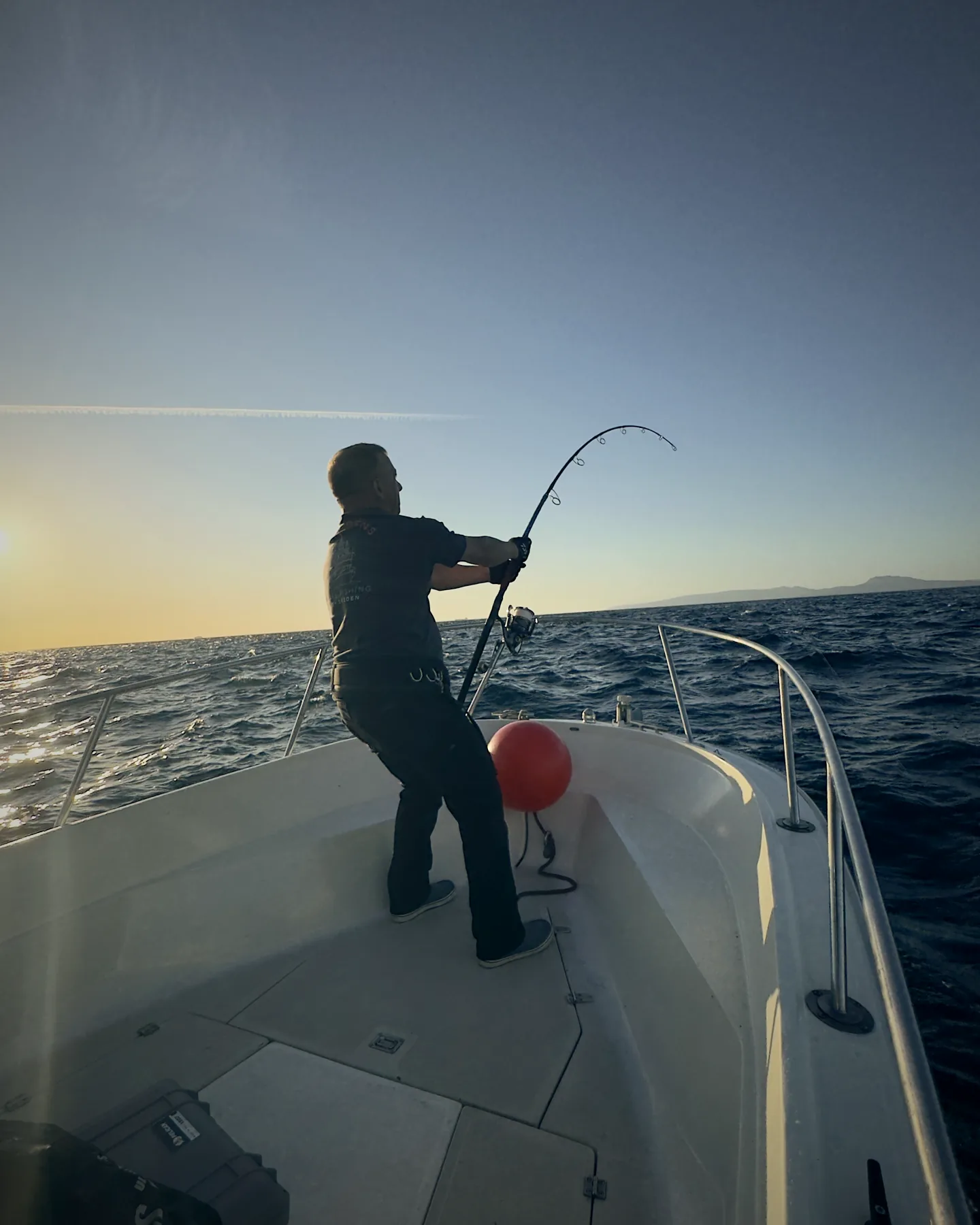 Rod bent against the dawn light